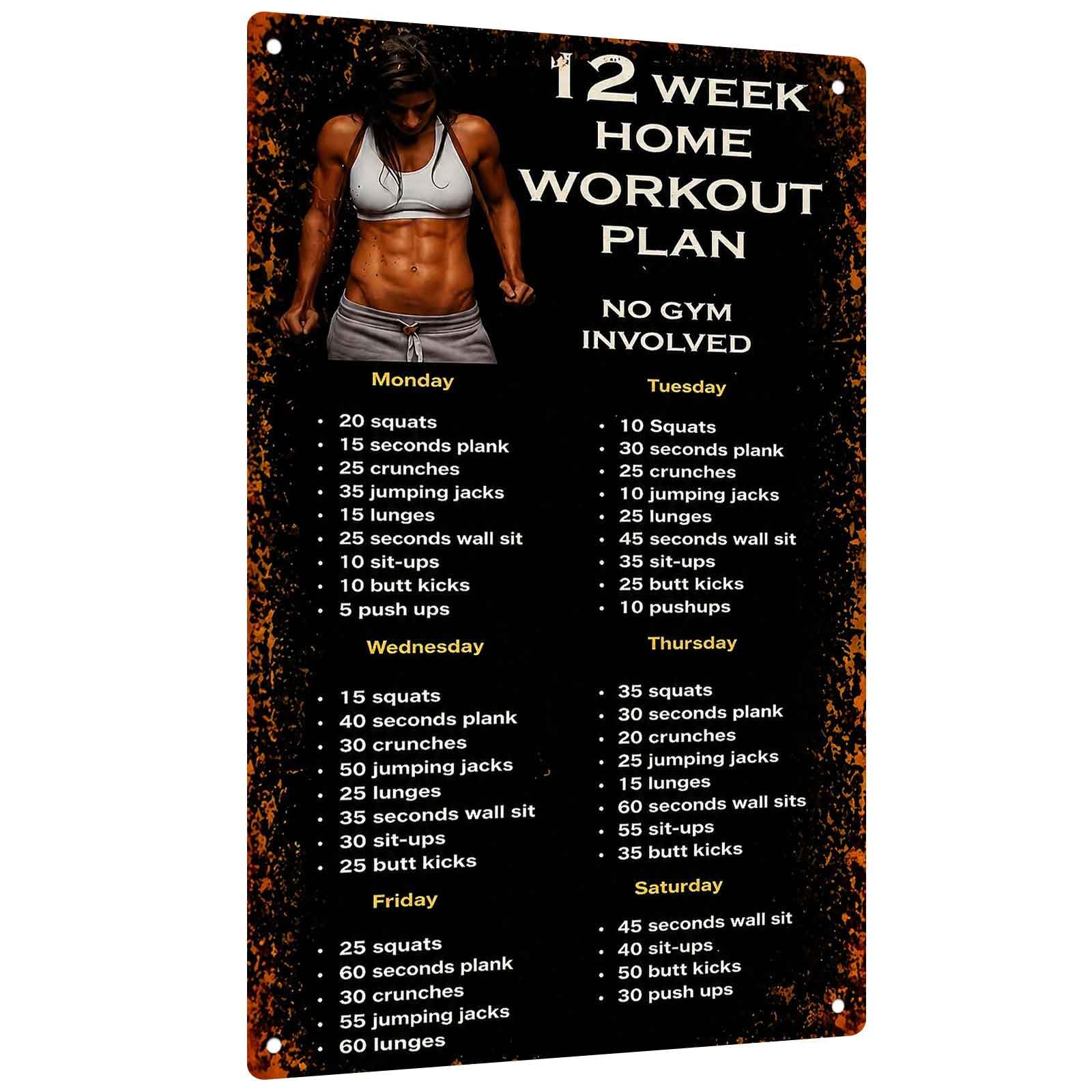 Aluminum Sign for 12-Week Home - Workout Plan Home Gym ulasan dan harga