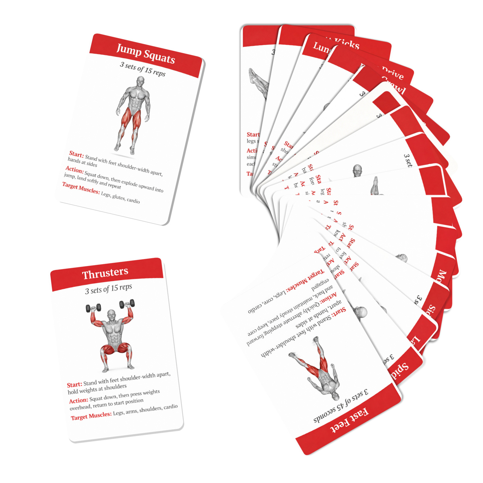 36Pcs Full Body Fat Burning Wo - Home Gym Guide ulasan dan harga
